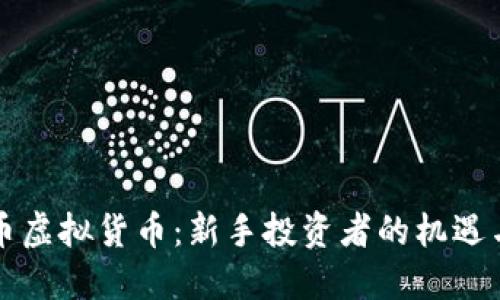 韭菜币虚拟货币：新手投资者的机遇与挑战