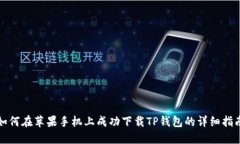 如何在苹果手机上成功下