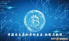 中国自主虚拟币的未来：