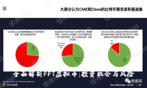 全面解析PFT虚拟币：投资机会与风险