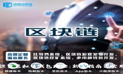 如何设置虚拟币钱包地址：新手指南与实用技巧