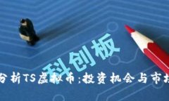 深入分析TS虚拟币：投资机