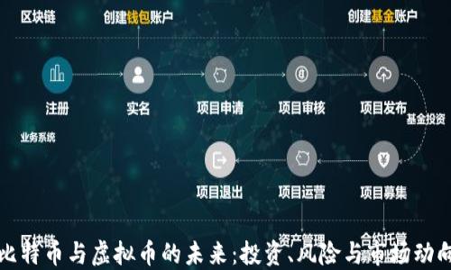 
比特币与虚拟币的未来：投资、风险与市场动向