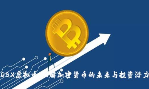 DBX虚拟币：理解加密货币的未来与投资潜力