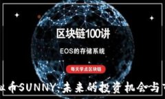  探索虚拟币SUNNY：未来的
