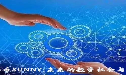  
探索虚拟币SUNNY：未来的投资机会与市场潜力