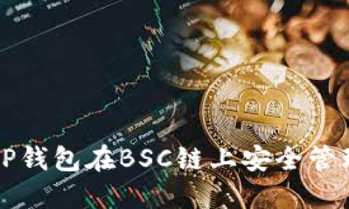 如何使用TP钱包在BSC链上安全管理加密资产