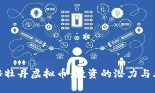 揭秘牡丹虚拟币：投资的潜力与风险