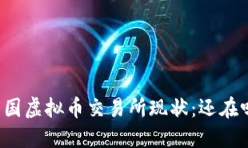 中国虚拟币交易所现状：还在吗？