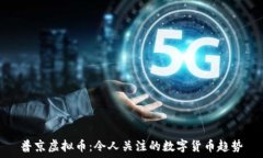   普京虚拟币：令人关注的