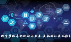 探索虚拟币的现状与未来