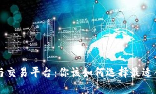 虚拟币钱包与交易平台：你该如何选择最适合的投资方式