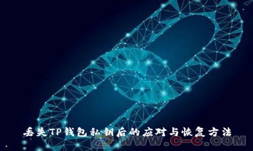 丢失TP钱包私钥后的应对与恢复方法
