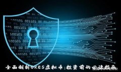   全面剖析OKES虚拟币：投资前的必读指南