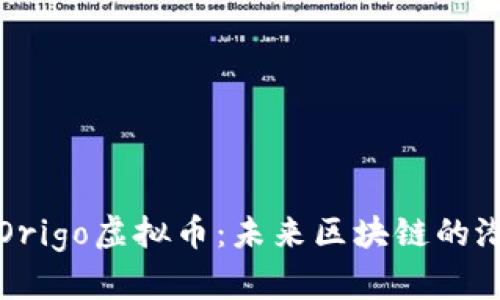 全面解析Origo虚拟币:未来区块链的潜力与挑战