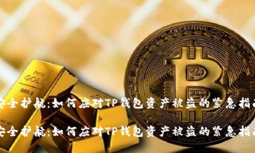 安全护航:如何应对TP钱包资产被盗的紧急指南
安全护航:如何应对TP钱包资产被盗的紧急指南