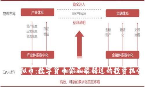 DM虚拟币:数字货币你不能错过的投资机会