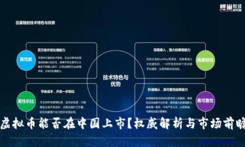 虚拟币能否在中国上市?权威解析与市场前瞻