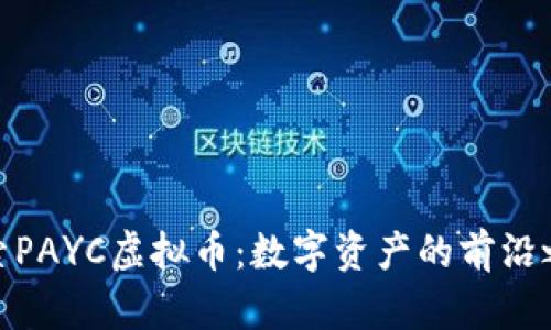 探索PAYC虚拟币:数字资产的前沿之旅