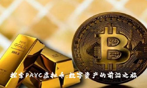 探索PAYC虚拟币:数字资产的前沿之旅