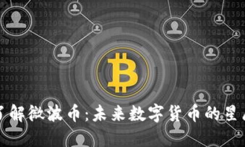 深入了解微波币:未来数字货币的星辰大海