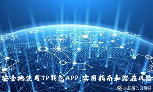 如何安全地使用TP钱包APP:实用指南和潜在风险分析
