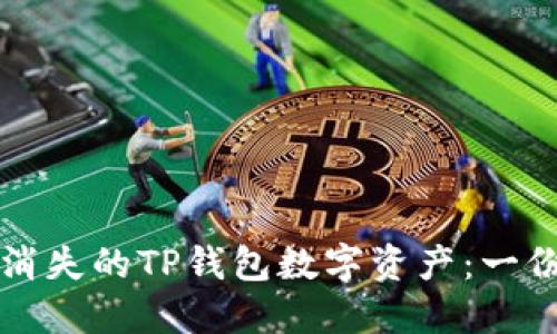 如何找回消失的TP钱包数字资产:一份详尽指南