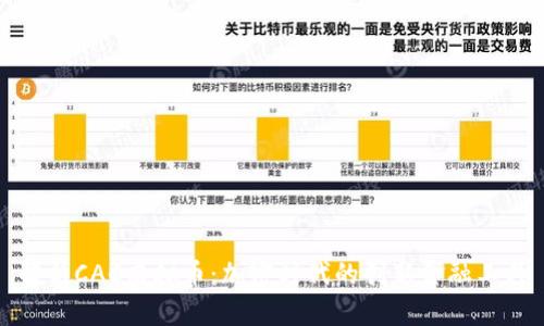 解析CAC虚拟币:加密时代的创新金融工具