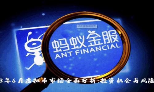 2023年6月虚拟币市场全面分析:投资机会与风险揭示