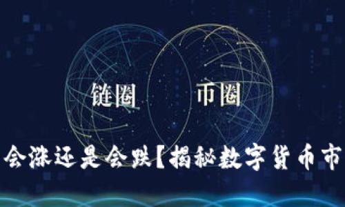 TP钱包里的币会涨还是会跌?揭秘数字货币市场的变幻莫测