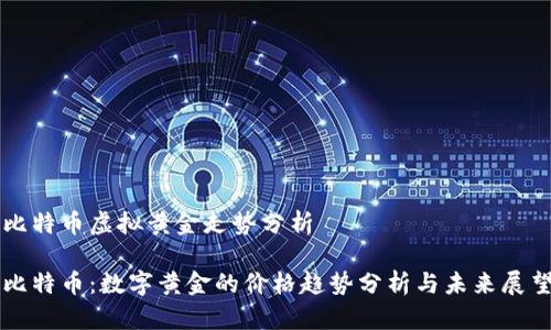 比特币虚拟黄金走势分析
比特币:数字黄金的价格趋势分析与未来展望