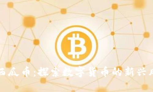 虚拟西瓜币：探索数字货币的新兴风向标