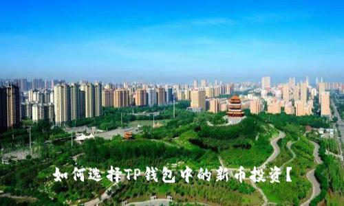 如何选择TP钱包中的新币投资?