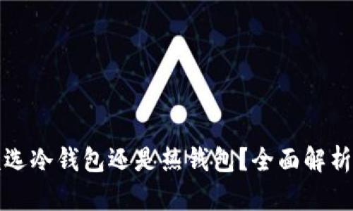 选择TP钱包时该选冷钱包还是热钱包?全面解析与最佳选择指南