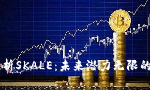 深度解析SKALE:未来潜力无限的虚拟币