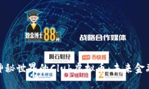 : 探索神秘世界的Club虚拟币:未来金融的新宠