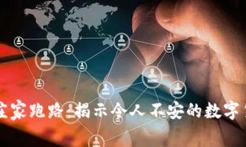 虚拟币庄家跑路:揭示令人不安的数字货币内幕