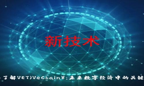 深入了解VET(VeChain):未来数字经济中的关键角色