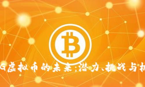 OMG虚拟币的未来:潜力、挑战与机遇