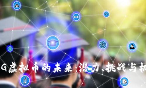 OMG虚拟币的未来:潜力、挑战与机遇