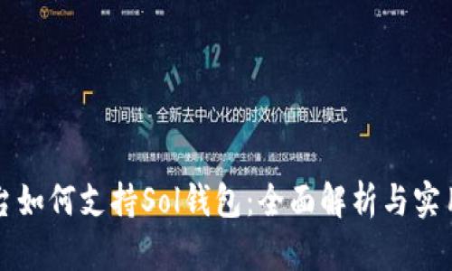 TP平台如何支持Sol钱包:全面解析与实用指南