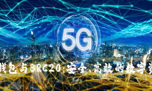 深入解析TP钱包与BRC20:安全、高效的数字资产管理方案