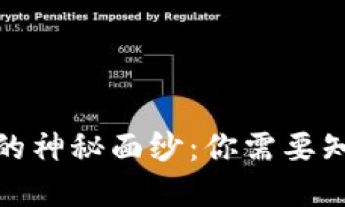 揭开虚拟币钱包的神秘面纱:你需要知道的种类与选择
