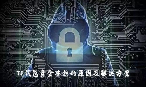 TP钱包资金冻结的原因及解决方案