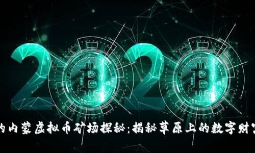 独特的内蒙虚拟币矿场探秘:揭秘草原上的数字财富之旅