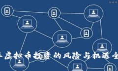 2023年虚拟币投资的风险与