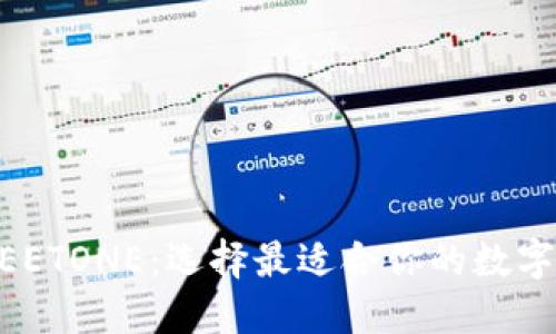 TP钱包 vs MEETONE:选择最适合你的数字资产管理工具