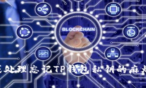 如何恢复或处理忘记TP钱包私钥的麻烦:实用指南