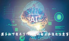 苹果手机下载不了TP钱包的
