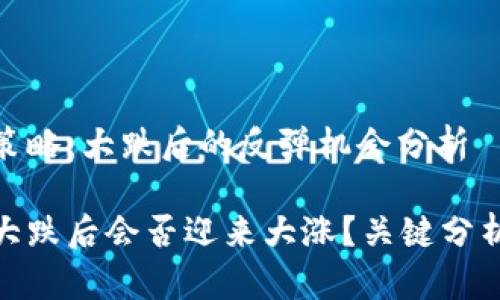 虚拟币投资策略:大跌后的反弹机会分析
最新虚拟币大跌后会否迎来大涨?关键分析与投资策略